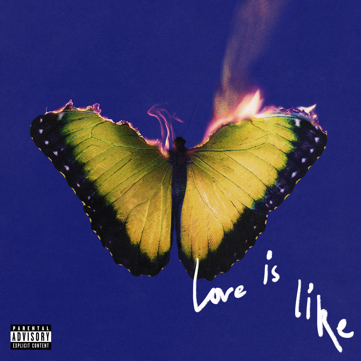 Love Is Like - Deluxe Album Digital Download